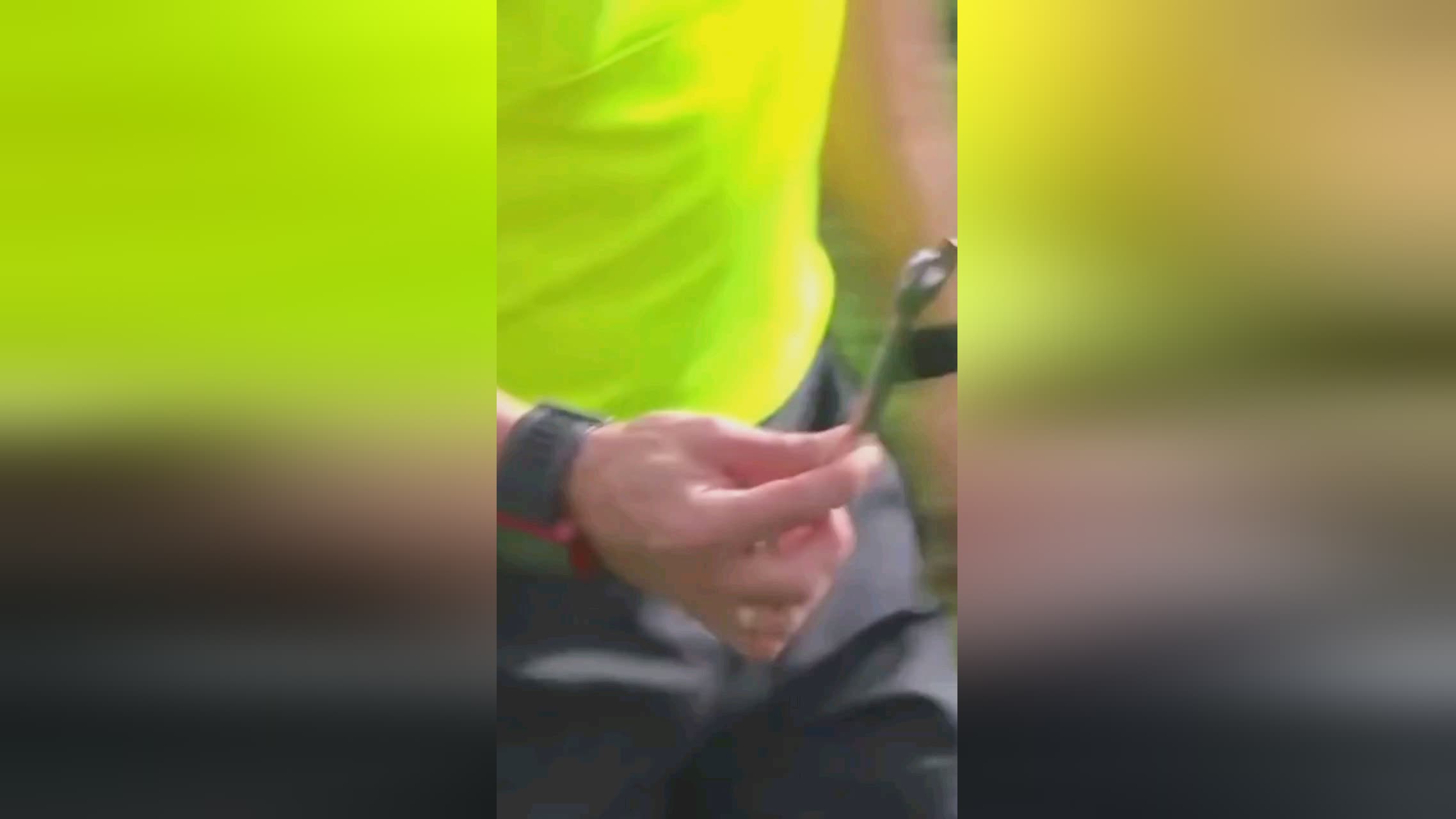 点之一